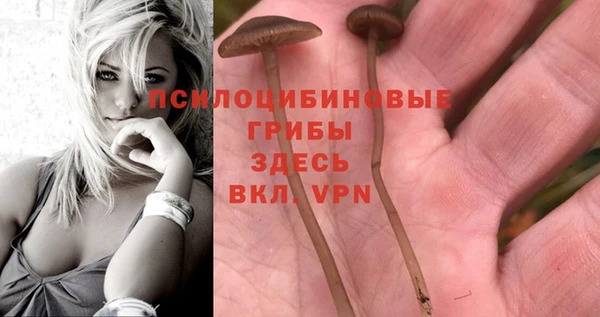 COCAINE Надым