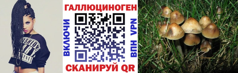 ссылка на мегу ТОР  где купить наркотик  Татарск  Галлюциногенные грибы MAGIC MUSHROOMS 